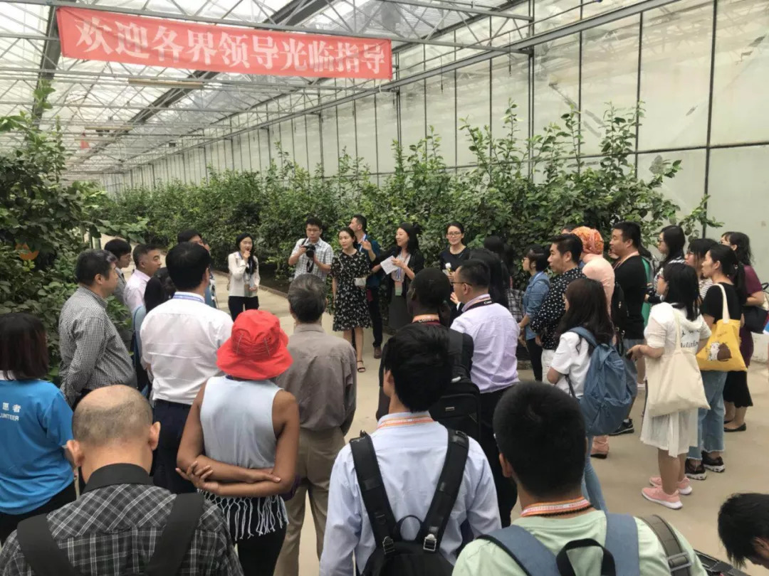 2018年中非合作论坛北京峰会"城市采访"系列活动 | 感受北京美丽乡村