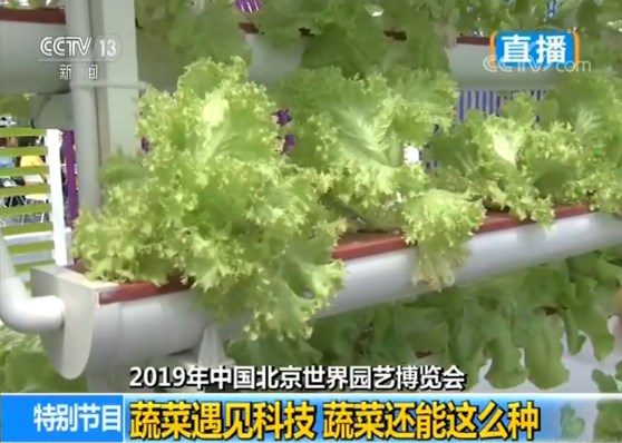 2019年中国北京世界园艺博览会:历史上首次将蔬菜园艺独立成园