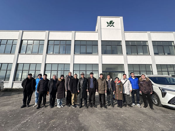 国家中药材协会调研江苏茅苍术产业